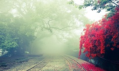 灵山县雨真邮政有限公司